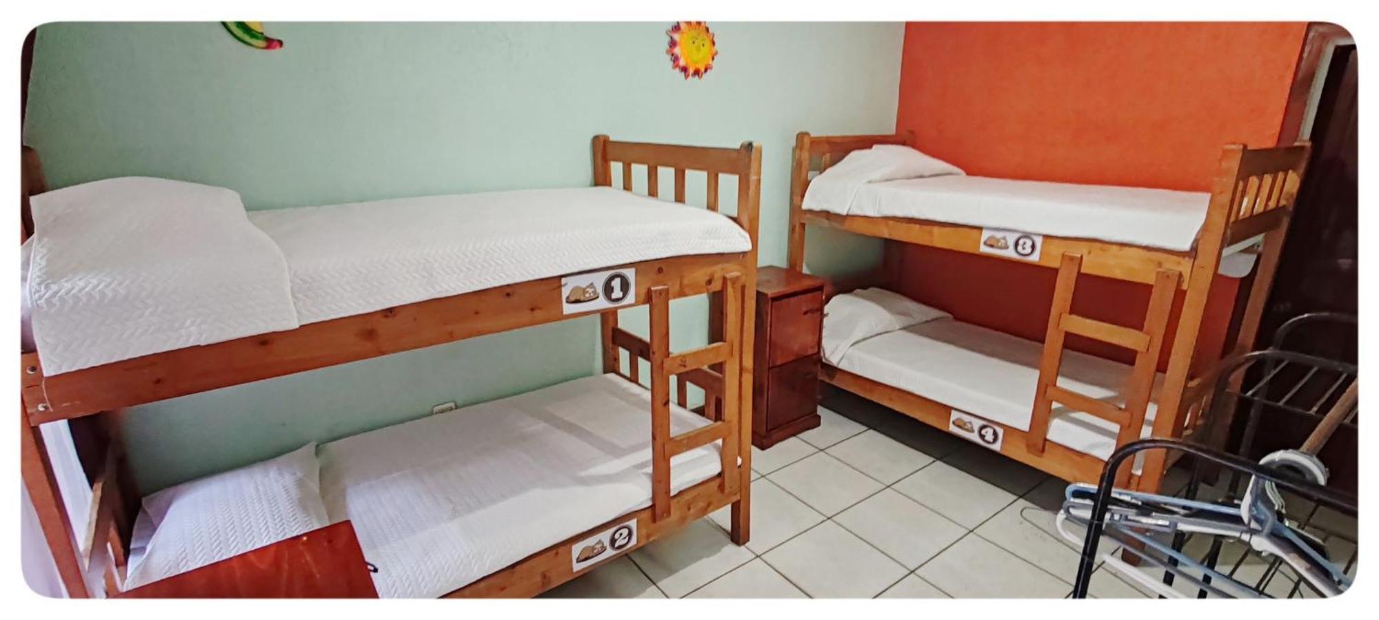 Hotel & Hostel Sloth Backpackers Monteverde Zewnętrze zdjęcie