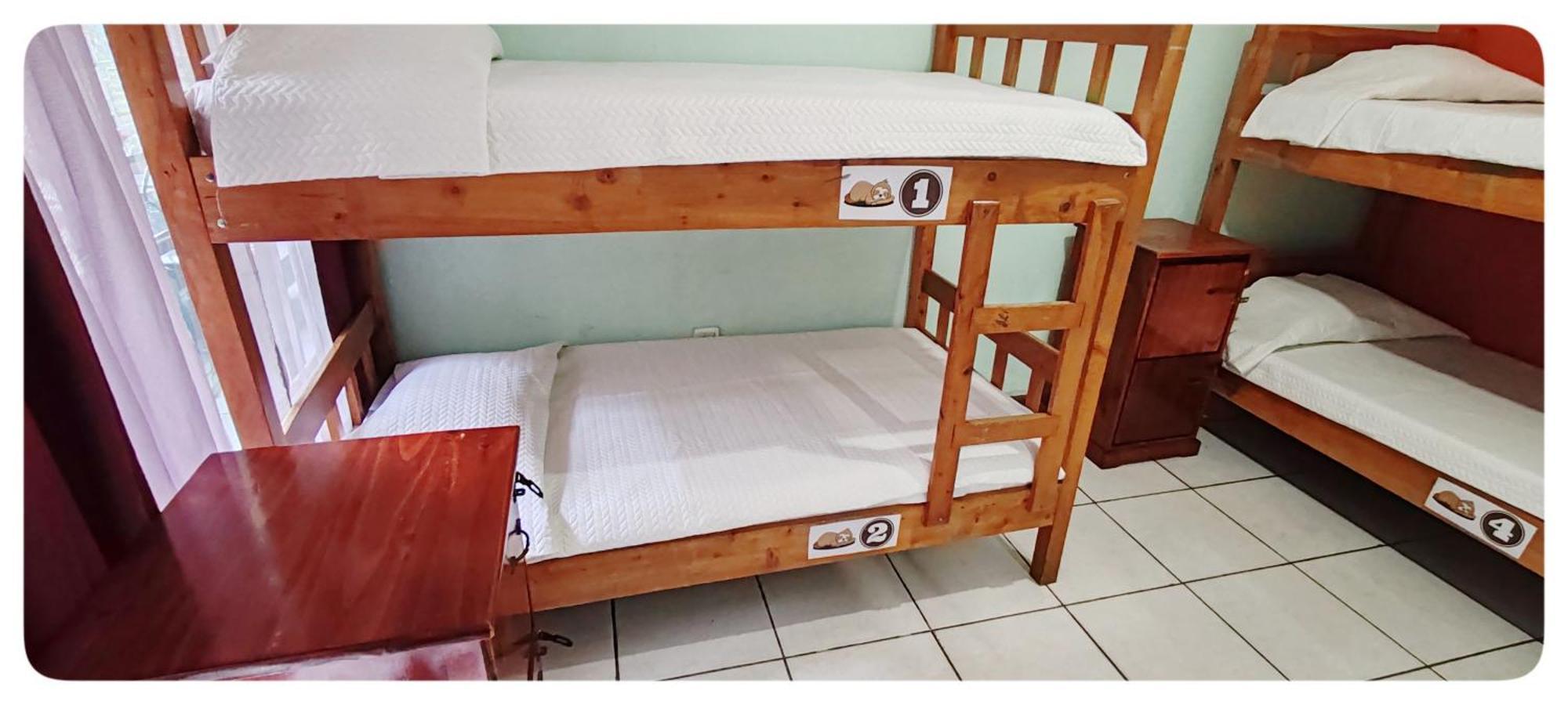 Hotel & Hostel Sloth Backpackers Monteverde Zewnętrze zdjęcie